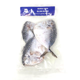AA-1 Frozen Moonfish