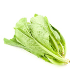 Baby Mustard Green