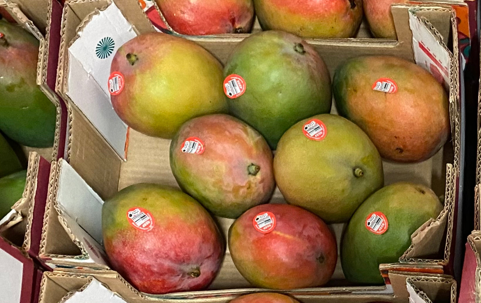 Apple Mango Case