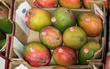 Apple Mango Case