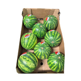 Mini Watermelon