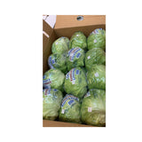 Iceberg Lettuce 24ct