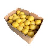 Yellow Lemons 65ct