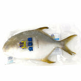 Sing Hai Pompano