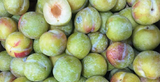 Us Sweet Yellow Plum