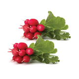 Bunch Red Radish*2