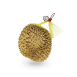 Arctic Ocean Monthong Durian