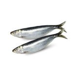 Frozen Sardine