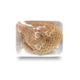 Beef Honeycomb Tripe