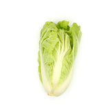 Wawa Bok Choy