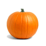 Large Pumpkin