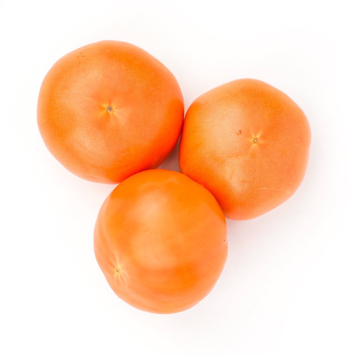 USA Tomatoes