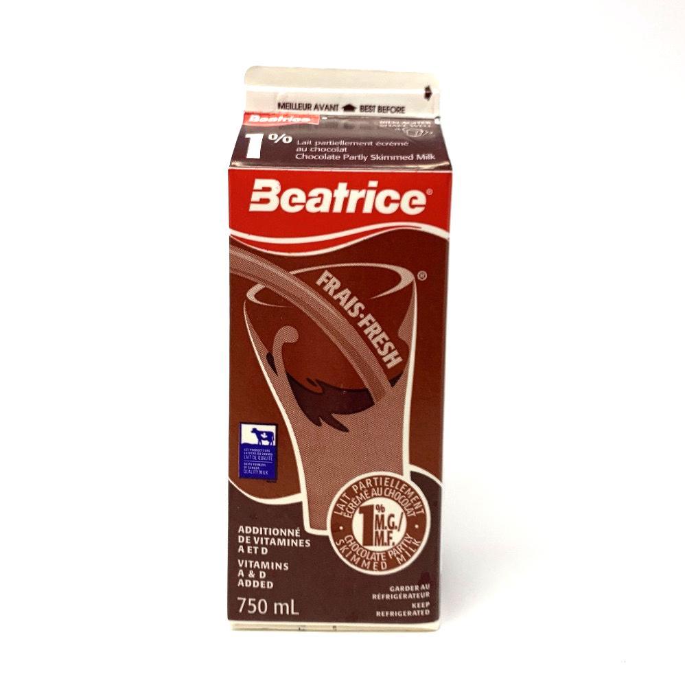 Beatrice Chocolate Skimmed Milk