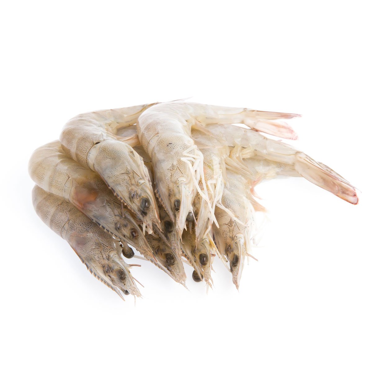 Fresh White Shrimp With Head
